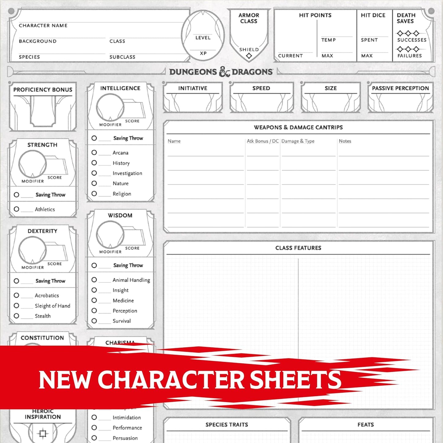 Dungeons & Dragons RPG Character Sheets 2024