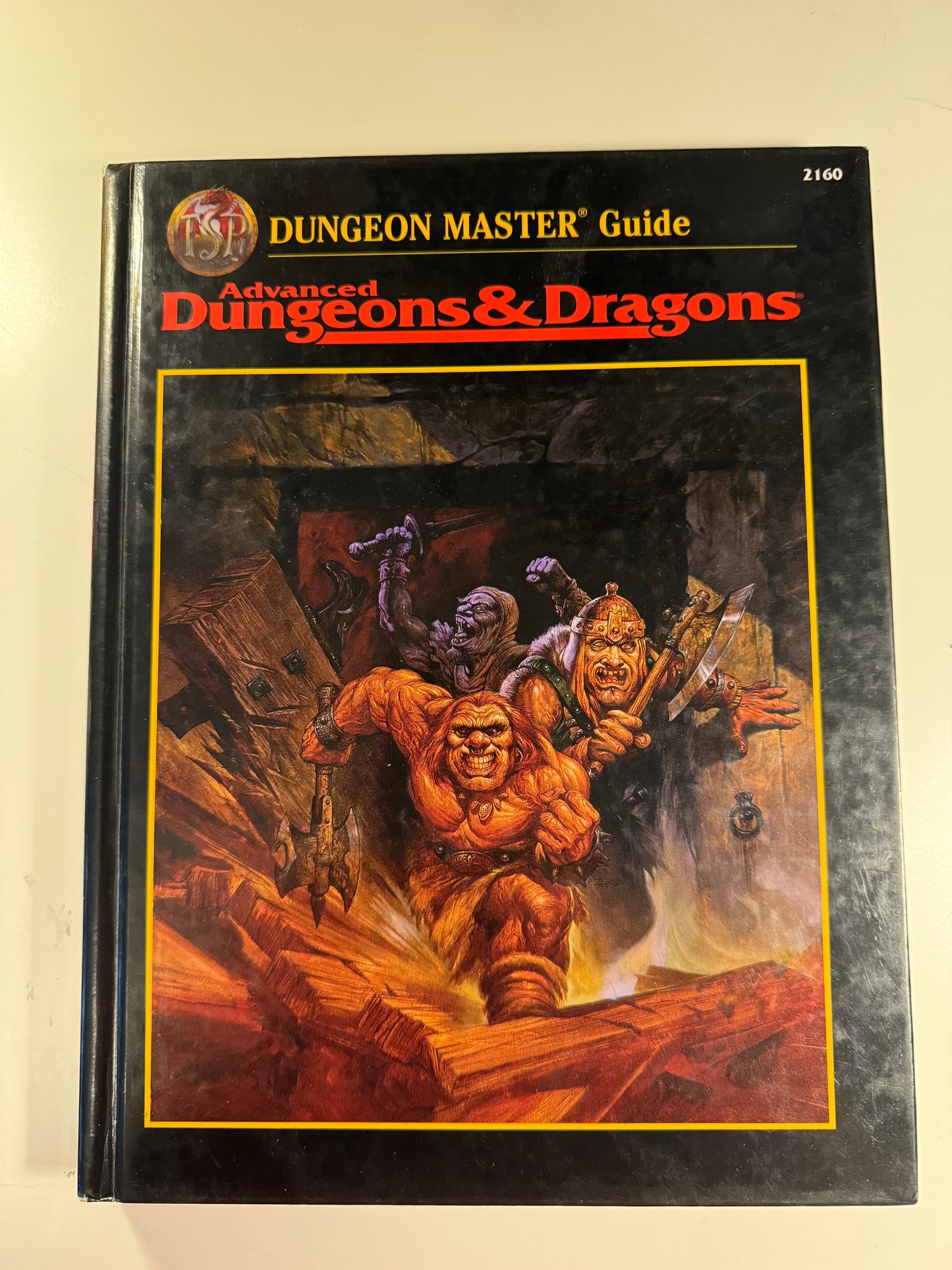 Advanced Dungeons & Dragons Dungeon Master Guide (2nd Edition) 1995