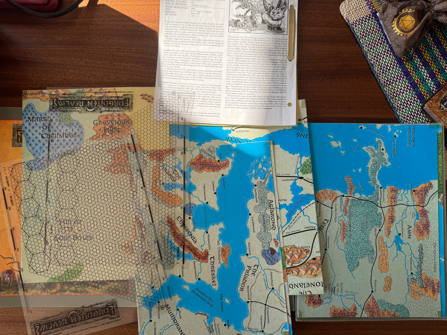 Forgotten Realms Campaign Setting