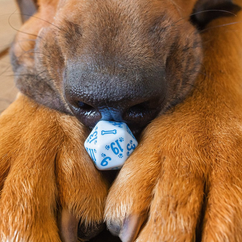 DOGS Dice Set: Max