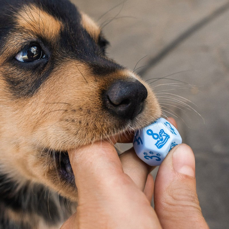 DOGS Dice Set: Max