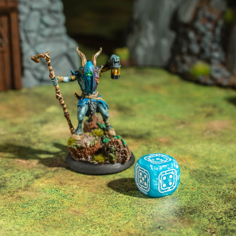Fortress Compact D6: Black&Blue