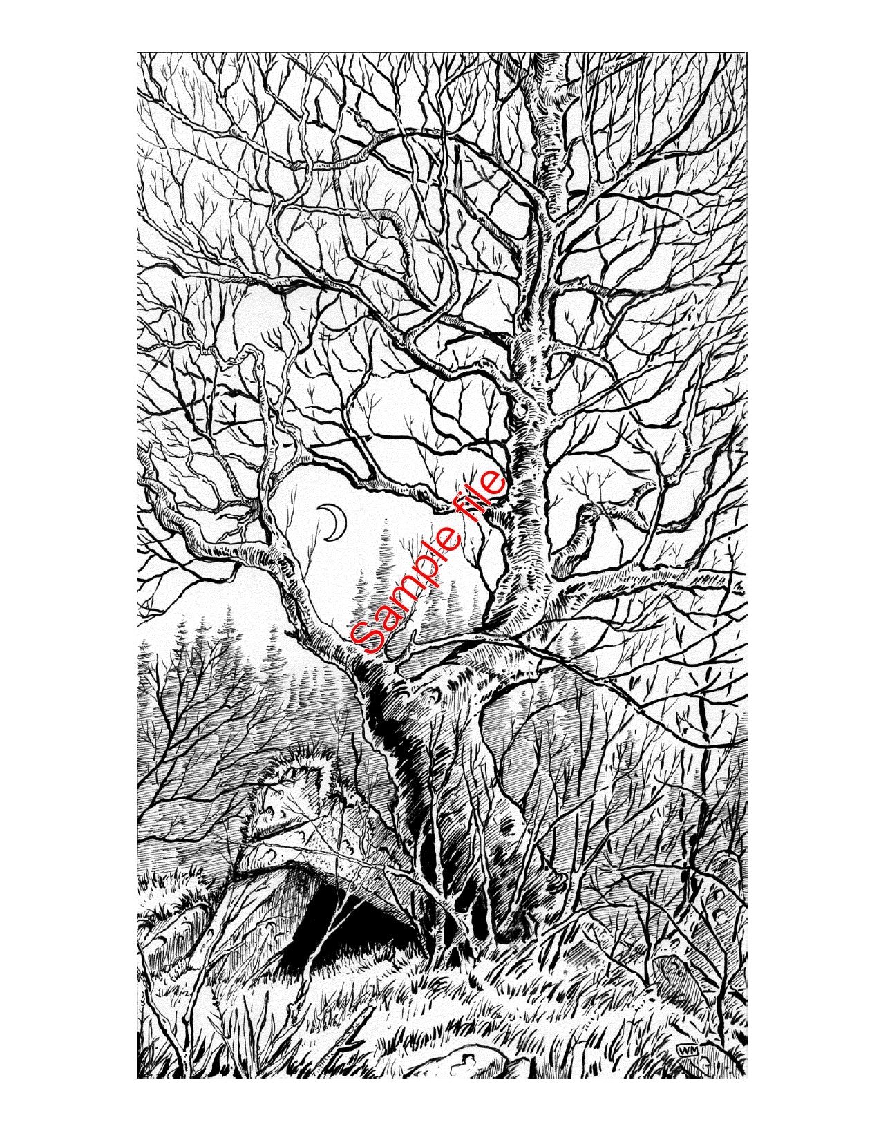 White Box: Fantastic Medieval Adventure Game